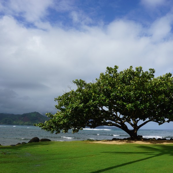 Travel Guide of Princeville, Kauai, Hawaii - Shown here: St. Regis Princeville