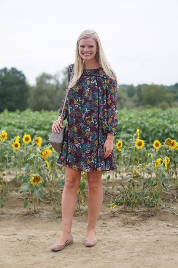 Fall Sunflowers & Loft Dress