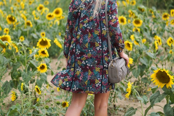 Fall Sunflowers & Loft Dress