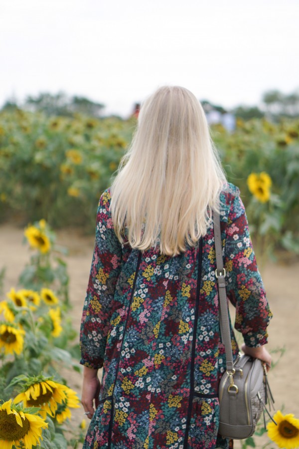 Fall Sunflowers & Loft Dress