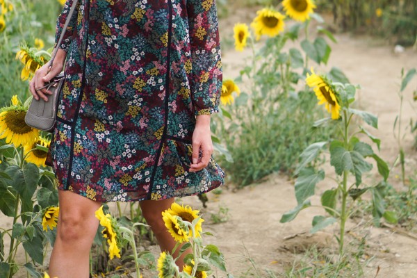 Fall Sunflowers & Loft Dress