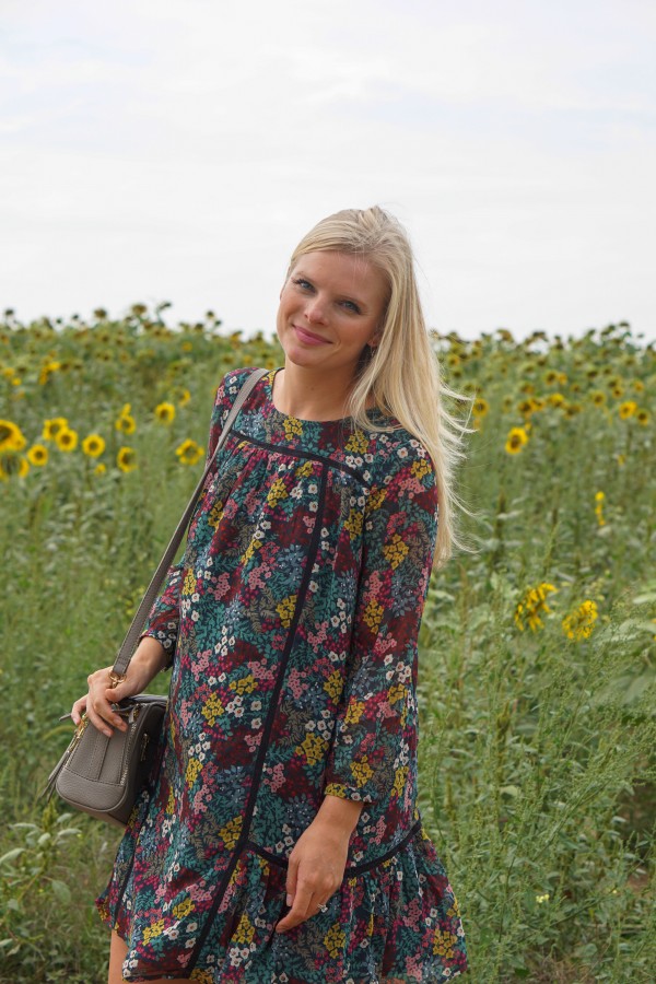 Fall Sunflowers & Loft Dress