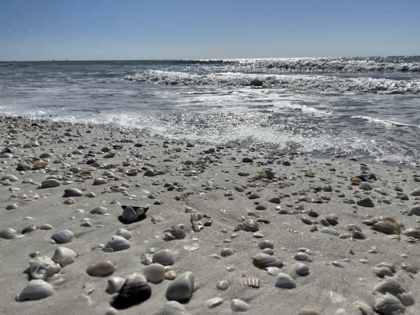 Keewaydin Island, Naples, Florida